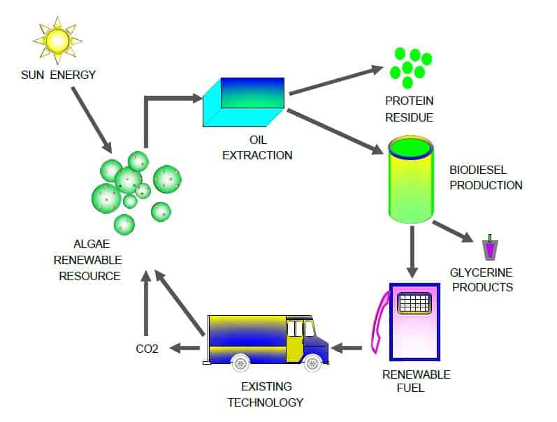 Image of biofuel cycle.